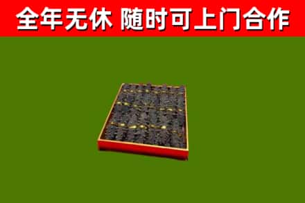 同江回收海参